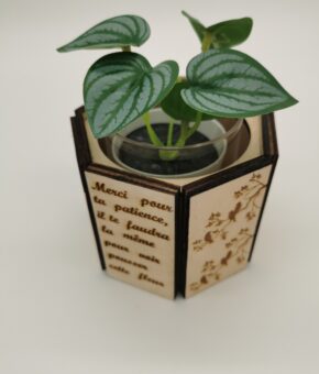 Pot à plantation personnalisé